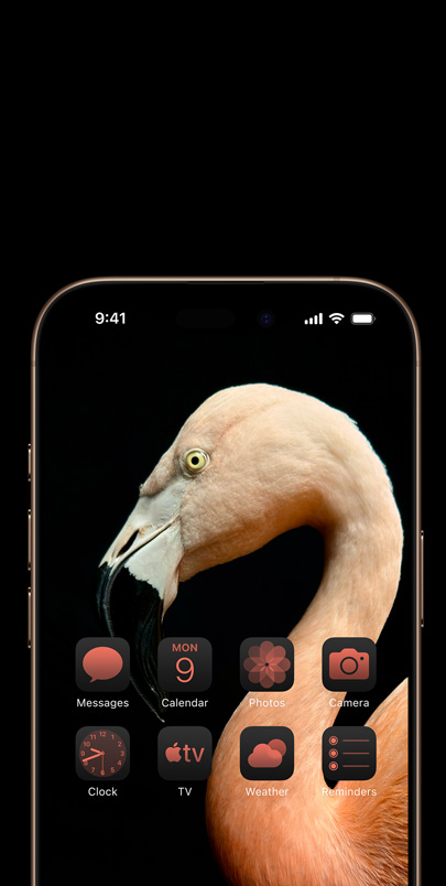 iPhone 16 ekraan dünaamilise külgvaates roosa flamingo pildiga ja samas toonis roosade vidinatega.
